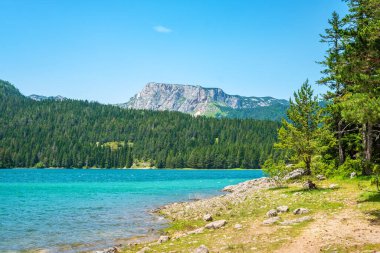 Durmitor Milli Parkı 'ndaki Kara Göl kıyısı (Crno Jezero). Zabljak, Karadağ