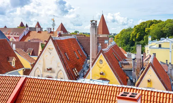 Panoramisch Uitzicht Rode Betegelde Daken Van Oude Stad Tallinn Estland — Stockfoto