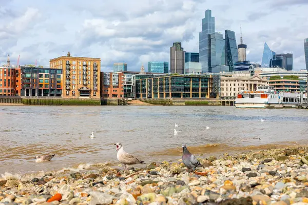Widok Rzekę Tamizę Londynu Londyn Anglia — Zdjęcie stockowe