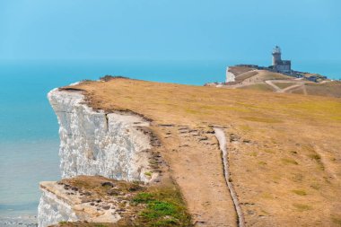 Sıcak yaz aylarında Beachy Head 'de tebeşir kayalıkları kuru çimlerle kaplıydı. Doğu Sussex. İngiltere