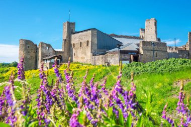 View to walls and towers of medieval castle in Rakvere. Estonia, Baltic States