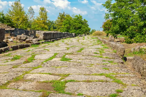 Vista Para Resto Antiga Estrada Pedra Dion Pieria Grécia Fotos De Bancos De Imagens