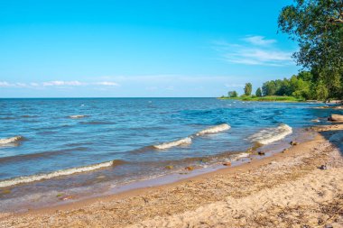 Peipus Gölü kıyısında küçük kumlu bir sahil. Nina Köyü, Estonya, Baltık Eyaletleri