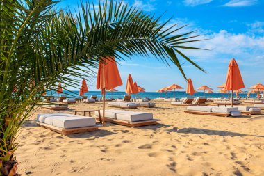 Sabah vakti şemsiyeli plaj sandalyeleri. Sunny Plajı. Bulgaristan