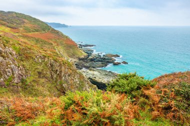 Güney Devon 'ın South Hams bölgesindeki Rocky kıyı şeridi Salcombe yakınlarında. İngiltere
