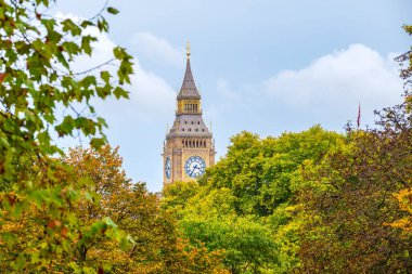 Yeşil parktaki ağaçların üzerindeki Big Ben saat kulesinin görüntüsü. Londra, İngiltere