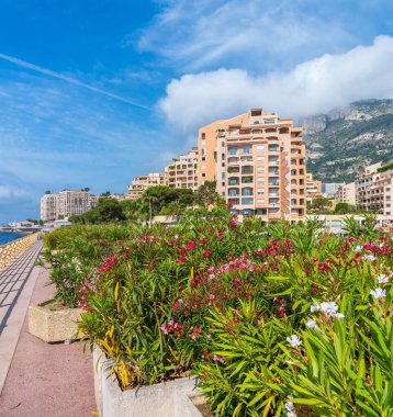 Promenade Digue de Fontvieille görünümü. Monako Prensliği