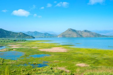 Skadar Gölü manzaralı. Cetinje ili, Karadağ