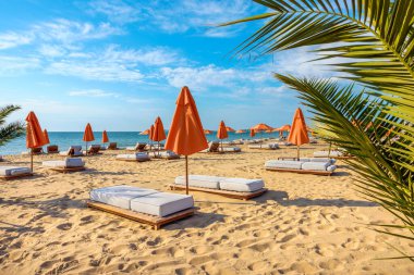 Sunny Beach 'te turuncu şemsiyeli plaj sandalyeleri. Bulgaristan