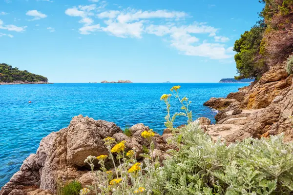 Adriyatik Denizi 'nin kayalık kıyılarına manzara. Dubrovnik, Hırvatistan