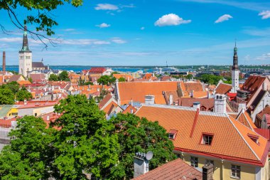 Tallinn 'in kırmızı kiremitli çatıları. St. Olaf Katedrali solda. Estonya