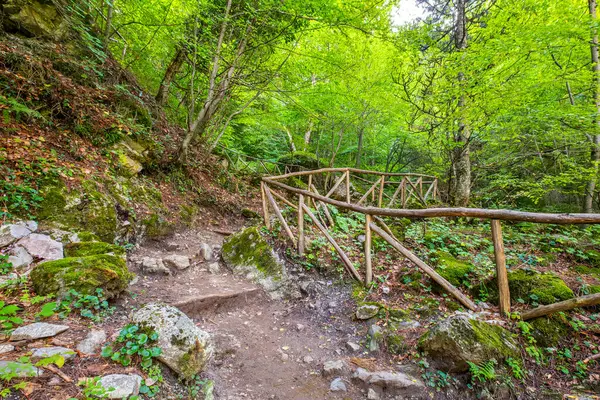 Olimpos dağına giden patika. Prionia, Yunanistan