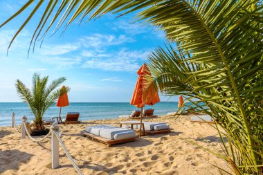 Sunny Beach bölgesinde turuncu şemsiyeli yumuşak şezlonglar. Bulgaristan