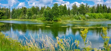 Allikajarv bahar gölünün panoramik manzarası. Janeda Köyü, Estonya
