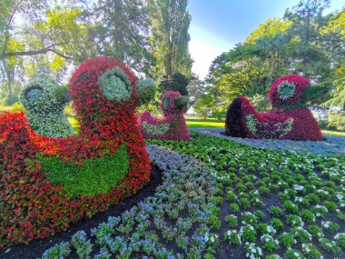 Ducks from flowers on the island of Mainau