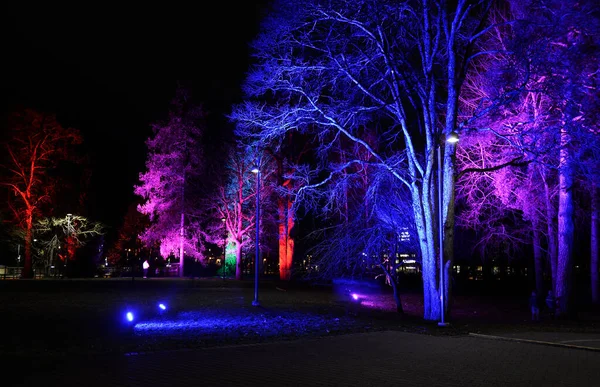 Jarvenpaa Finland October 2022 Light Sight Light Event City Park — Stock Photo, Image