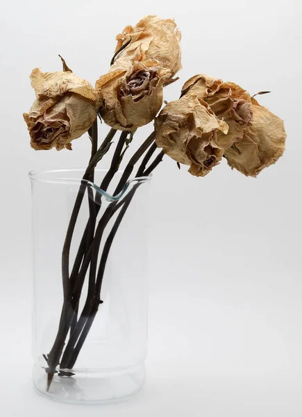 Strauß Getrockneter Rosen Einem Glas Auf Weißem Hintergrund — Stockfoto