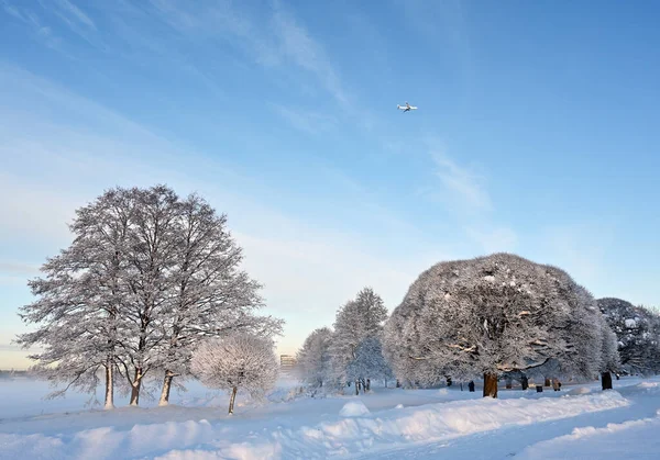 Красивый Зимний Пейзаж Парке Солнечный День Самолет Голубом Небе Деревья — стоковое фото