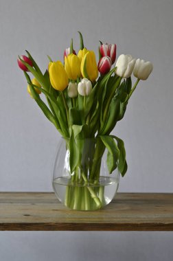 Sarı, beyaz ve pembe laleler cam bir vazoda tarafsız bir arkaplanda, ahşap bir rafta. 