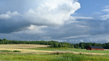 Görüntü, geniş tarlalar ve ahşap bir ahır içeren sakin bir kırsal alan yakalıyor. Tarlalar yeşil ve altın rengi karışımı. Bu da ekin ve çimen alanlarının bir karışımı olduğunu gösteriyor. Ufuk çizgisini gösteren bir ağaç çizgisi, tarlaları bir...