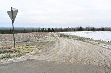 Sonbaharın sonlarında ya da kışın başında açık tarlalarda kıvrılan toprak yolu olan kırsal bir arazi. Buz çimenleri ve tarlaları hafifçe kaplarken, kar tozuyla kaplı bir sıra çıplak toprağın kahverengi ve bej tonlarıyla zıt düşüyor. Bir Hindistan