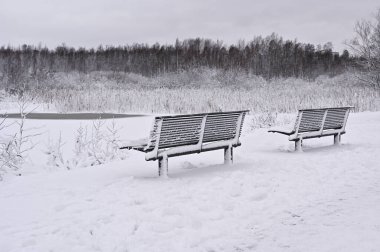 Sakin bir kış manzarasında donmuş bir gölete bakan iki kar kaplı bank. Arka plandaki bulutlu gökyüzü ve çıplak ağaçlar sakin ve biraz melankolik bir atmosfer yaratıyor. Yerdeki el değmemiş kar ve çevreleyen bitki örtüsü buna ekleniyor.