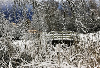 a serene winter scene featuring a snow-covered wooden bridge surrounded by a tangle of frosted branches and reeds. The vibrant contrast of the deep blue evening sky and the soft glow of distant lights creates a magical and tranquil atmosphere. The in clipart