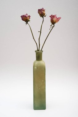 İçinde üç tane kurumuş pembe gül bulunan tek bir vintage yeşil cam şişe. Sessiz tonlar, yıpranmış vazo ve narin gövdeler basit bir kompozisyonda sanatsal ve minimalist bir natüralist hayat yaratıyor.