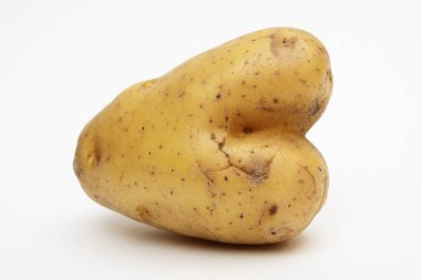 Kalp şeklindeki bir patatesin ilginç ve benzersiz doğal formunu gösteren yakın plan bir görüntüsü. Aşk kalbi şeklinde bu mizahi sebze doğadaki kusurun güzelliğini temsil ediyor. Yemek fotoğrafçılığı ya da beklenmedik bir şekilde aşkı kutlamak için ideal.