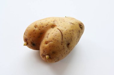 Yüzeyinden küçük filizler çıkan düzensiz şekilli bir patates, beyaz bir arka plana yerleştiriliyor. Patateslerin eşsiz biçimi, toprak rengi ve doğal kusurları organik, ev yapımı ürünlerin güzelliğini vurgular. Köy. 