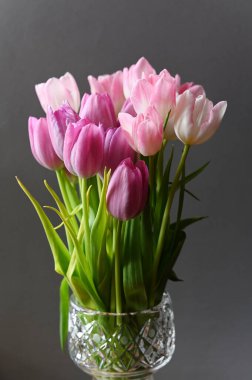 Güzel tasarlanmış kristal bir vazoda taze pembe ve beyaz lalelerden oluşan büyüleyici bir çiçek düzeni. Canlı yeşil yapraklar, zarif ve romantik bir estetik yaratan pastel yapraklarla tezat oluşturuyor. Yumuşak, gri bir sırtüstü