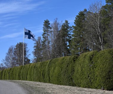 Finlandiya bayrağı dalgalanan mavi gökyüzüne karşı gururla bayrak direğinde sallanıyor. Sahne, hem kozalaklı hem de yapraksız yaprak döken ağaçlardan oluşan bir ormana uzanan titizlikle budanmış bir çitle çevrelenmiş çakıllı bir yolun yanında yer alıyor. Buğday.