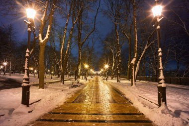 çok güzel park banklar ve yol büyük ağaçları kış