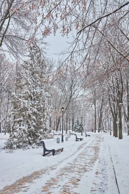 kar ile doldurulmuş kış city Park banklar