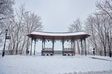 çok güzel park banklar ve yol büyük ağaçları kış