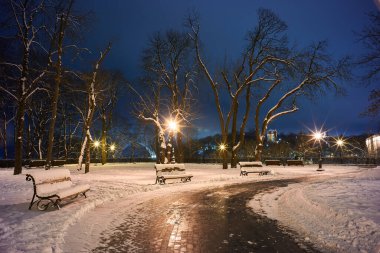 çok güzel park banklar ve yol büyük ağaçları kış