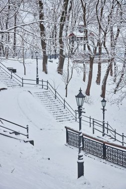 çok güzel park banklar ve yol büyük ağaçları kış