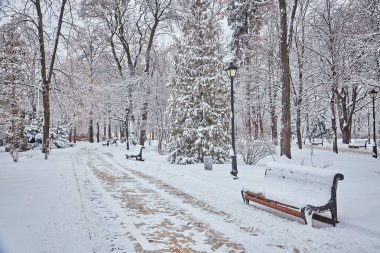 Karla kaplı ağaçlar ve şehir Park banklar. Günbatımı