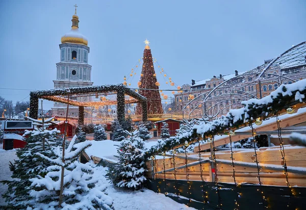 Árbol Navidad Con Luces Aire Libre Por Noche Kiev Catedral — Foto de Stock