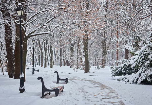 Karla Kaplı Ağaçlar Şehir Park Banklar Günbatımı — Stok fotoğraf
