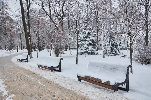 白雪覆盖的树木和在城市公园的长椅 — 图库照片
