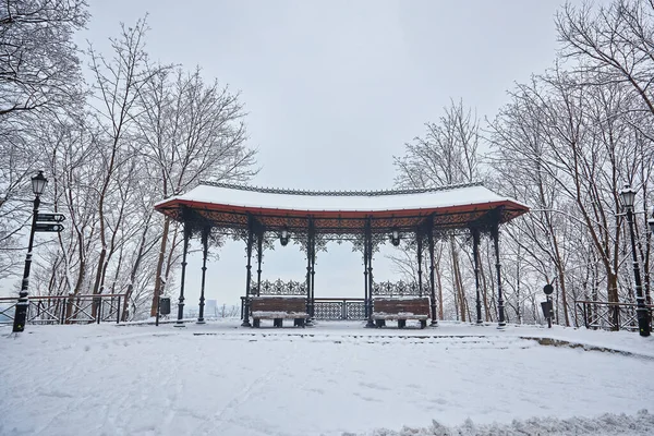 冬の美しい公園には多くの大きな木のベンチとパス — ストック写真