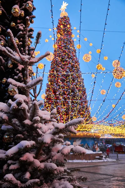 Festlicher Weihnachtsbaum Mit Girlanden Des Jahres 2022 Und Der Sophienkathedrale — Stockfoto