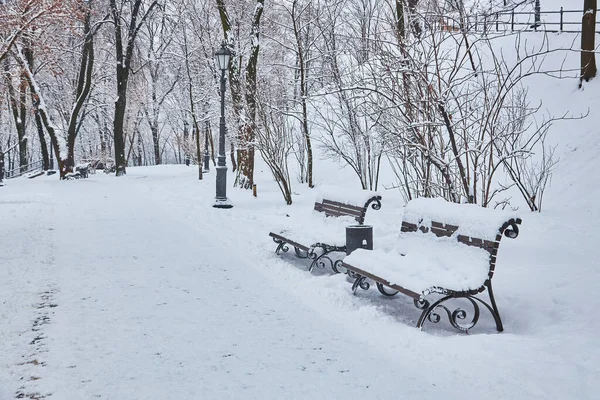 Benches Winter City Park Which Has Been Filled Snow — Stock Photo, Image