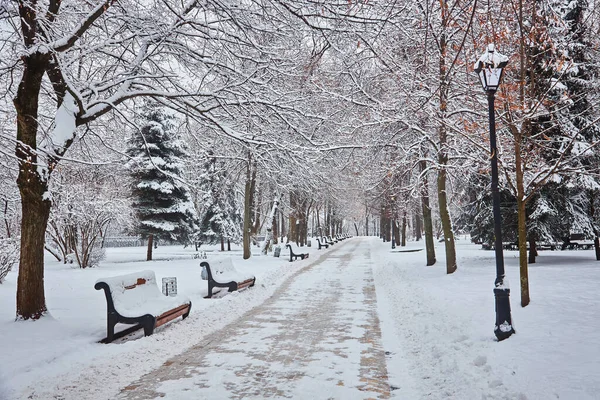 Скамейки Зимнем Городском Парке Заполненном Снегом — стоковое фото