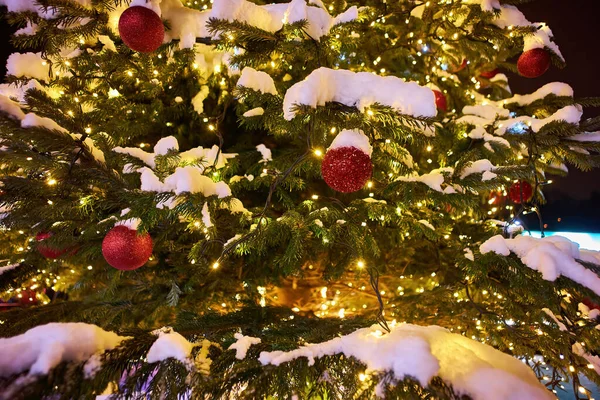 Decorações Natal Uma Rua Cidade Ramos Abeto Cones Pinheiro Inverno — Fotografia de Stock
