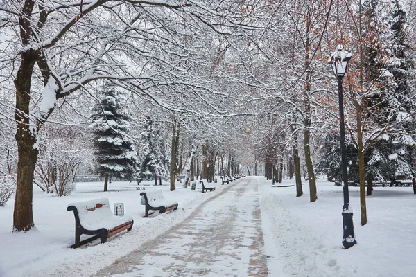 Karla Kaplı Ağaçlar Şehir Park Banklar Günbatımı — Stok fotoğraf