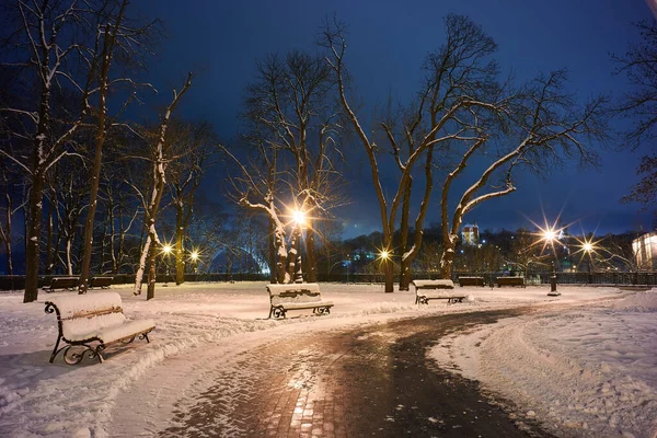 Зимовий Красивий Парк Багатьма Лавками Великих Дерев Стежкою — стокове фото