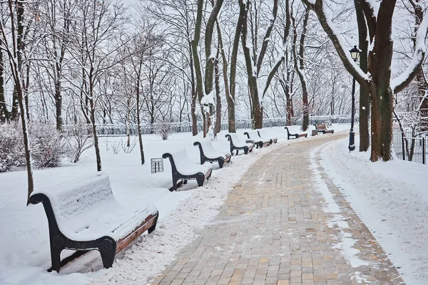 Kar Ile Doldurulmuş Kış City Park Banklar — Stok fotoğraf