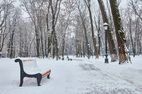 Скамейки Зимнем Городском Парке Заполненном Снегом — стоковое фото